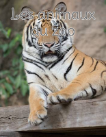 Les animaux du zoo